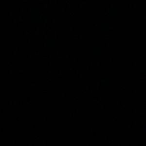 Meet your Posher, Zander